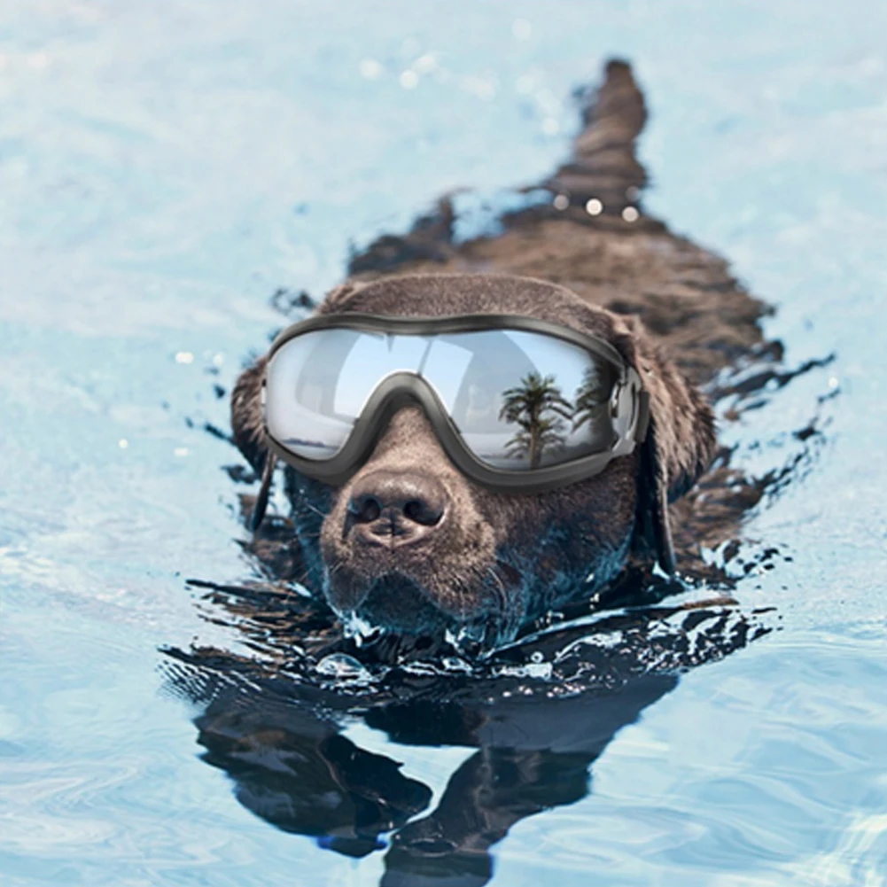 Adjustable Dog Accessories Anti-UV Sun Glasses Pet Dog Goggles Sunglasses Eye Wear Protection
Adjustable Dog Accessories Anti-UV Sun Glasses Pet Dog Goggles Sunglasses Eye Wear Protection