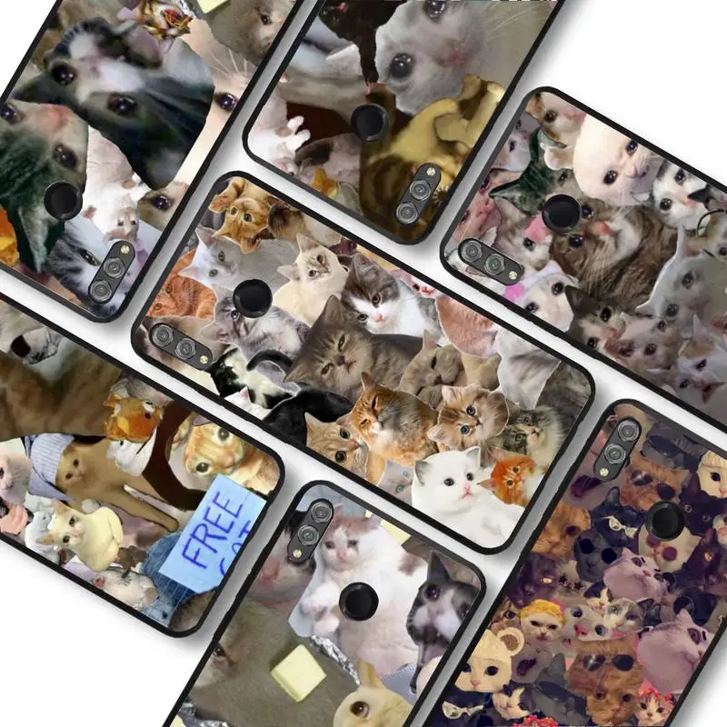 Crying Cat Memes Phone Case for Huawei Honor 10 i 8X C 5A 20 9 10 30 lite pro Voew 10 20 V30
Crying Cat Memes Phone Case for Huawei Honor 10 i 8X C 5A 20 9 10 30 lite pro Voew 10 20 V30