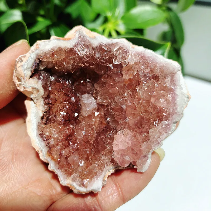 Natural Pink Amethyst Stone Quartz Raw Crystal Geode Room Decoration Argentina Amethyste Real Mineral Spiritual Healing Crystals
Natural Pink Amethyst Stone Quartz Raw Crystal Geode Room Decoration Argentina Amethyste Real Mineral Spiritual Healing Crystals