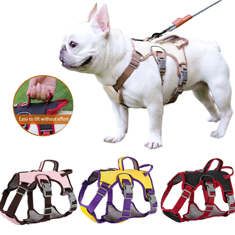 Strap Lead Accessories For Chest Harness Vest Dog Bulldog Adjustable Strap Reflective Safety Large Puppy Dog Pet Small Chihuahua
Strap Lead Accessories For Chest Harness Vest Dog Bulldog Adjustable Strap Reflective Safety Large Puppy Dog Pet Small Chihuahua