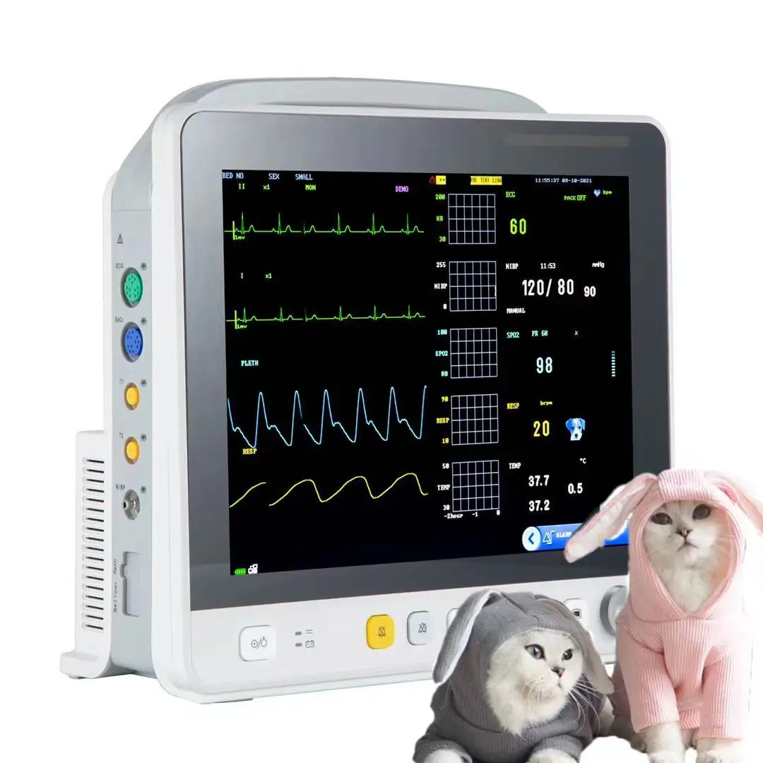 Pet Emergency Veterinary Hospital Ico Professional Medical Equipment Veterinary Monitor Supports Multiple Languages
Pet Emergency Veterinary Hospital Ico Professional Medical Equipment Veterinary Monitor Supports Multiple Languages