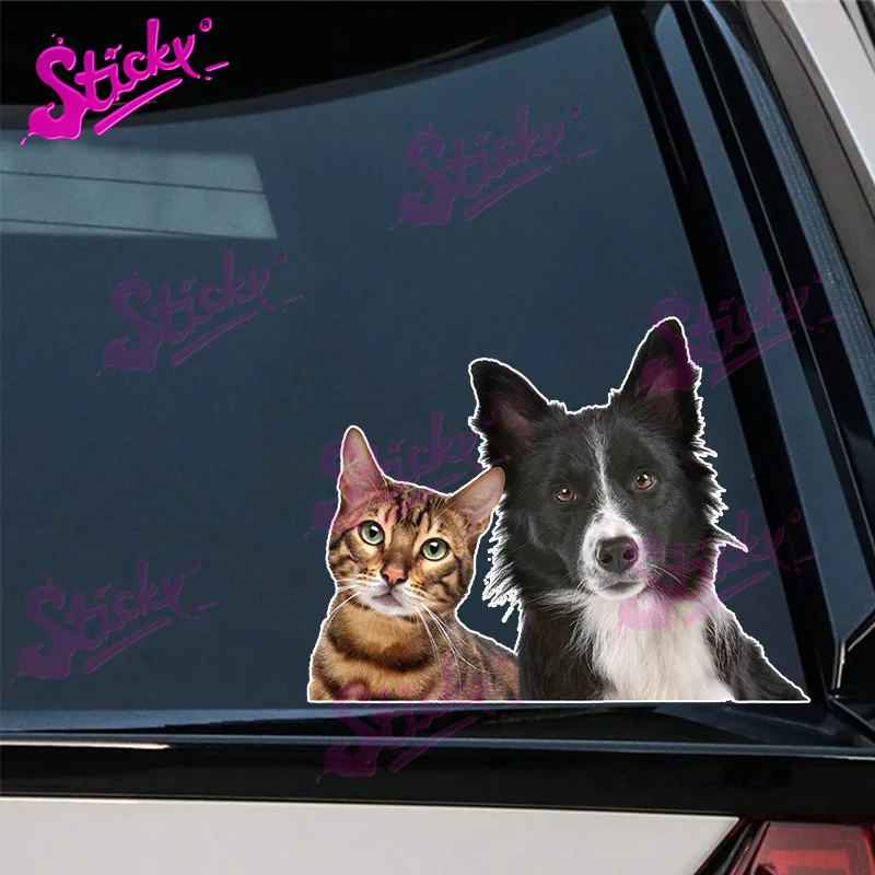 STICKY 3D Funny Dog Cat Car Sticker Decal Cover Scratches The Whole Body for Rear Windshield Laptop Helmet Trunk Accessories
STICKY 3D Funny Dog Cat Car Sticker Decal Cover Scratches The Whole Body for Rear Windshield Laptop Helmet Trunk Accessories