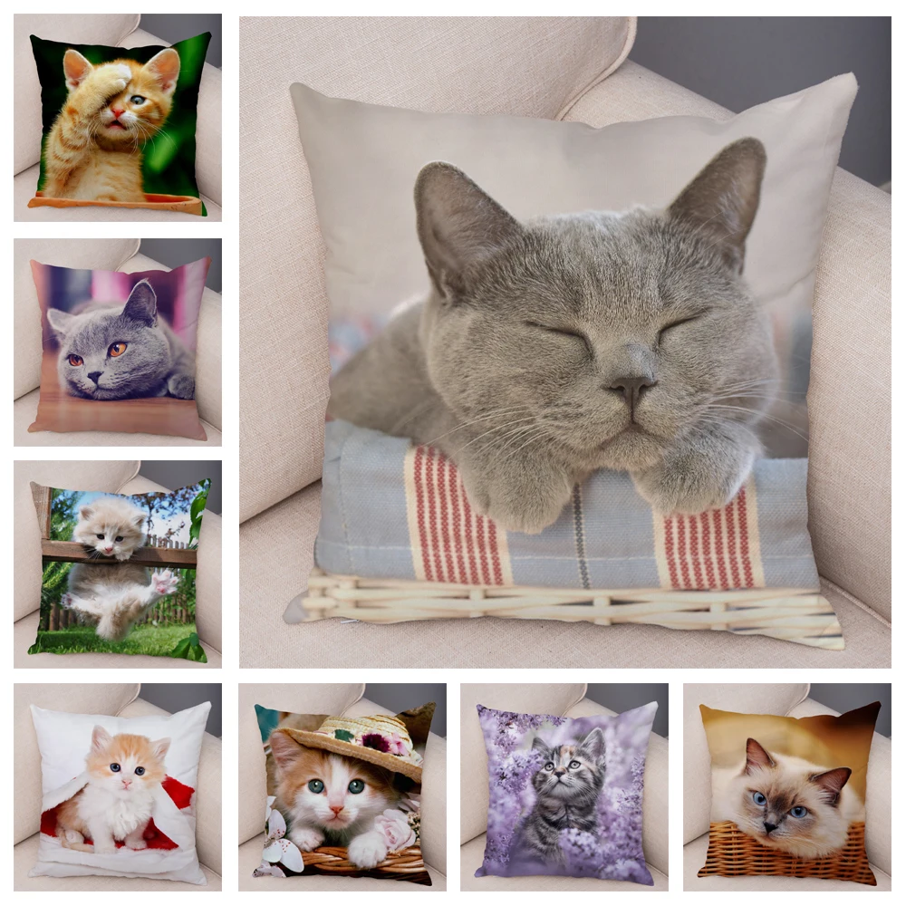 Funny Cute Cat Pillowcase Decoration Cute Pet Animal Print Pillowcase Car Sofa Home Cushion Cover
Funny Cute Cat Pillowcase Decoration Cute Pet Animal Print Pillowcase Car Sofa Home Cushion Cover