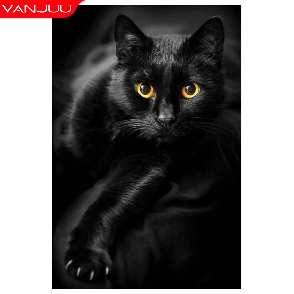 5D Diamond painting Full Drill Black Cat Diamond Mosaic Animal Embroidery DIY Rhinestone painting Home Decoration Gift
5D Diamond painting Full Drill Black Cat Diamond Mosaic Animal Embroidery DIY Rhinestone painting Home Decoration Gift