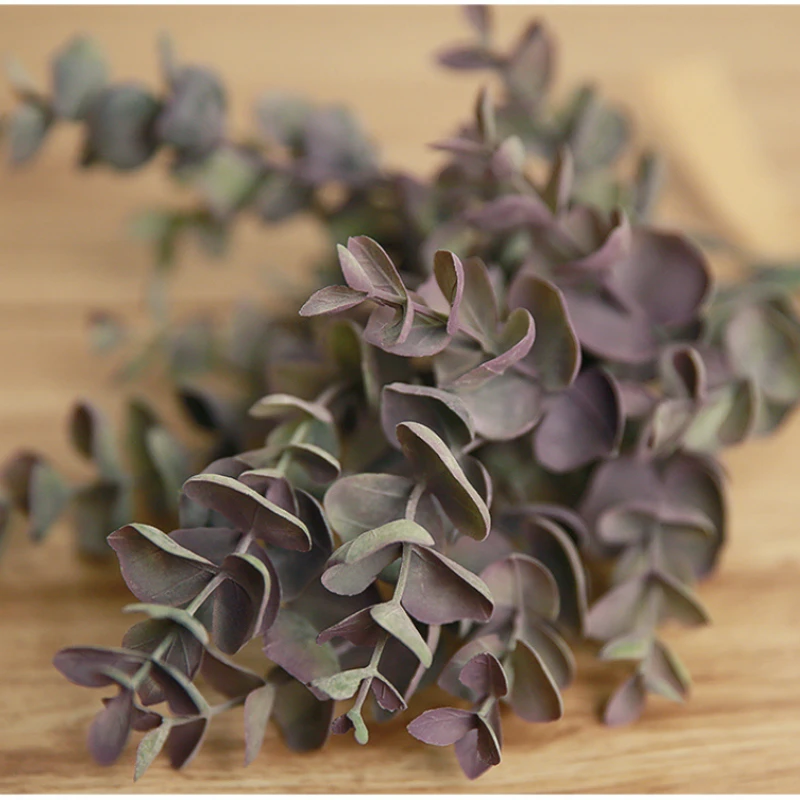 Inch Nordic money leaf silk artificial flower plants home garden decor Christmas Gift Wedding green wall fake flower Eucalyptus
Inch Nordic money leaf silk artificial flower plants home garden decor Christmas Gift Wedding green wall fake flower Eucalyptus