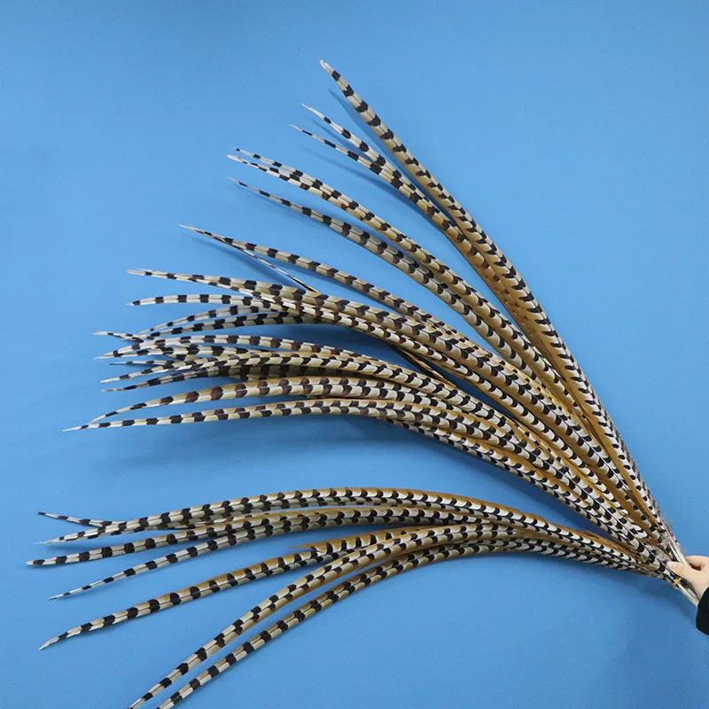 50pcs/lot Natural Pheasant Feathers for Crafts 36-40 Inch/90-100cm Party Home DIY Plumas De Faisan Plume
50pcs/lot Natural Pheasant Feathers for Crafts 36-40 Inch/90-100cm Party Home DIY Plumas De Faisan Plume