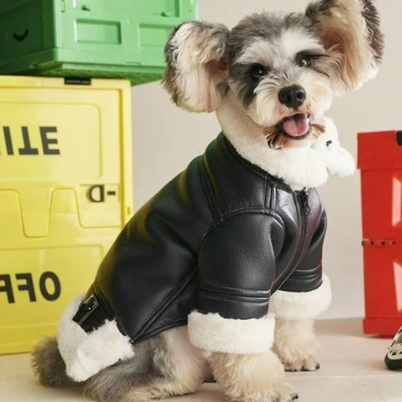 PU Leather Jacket Warm Coat Fashion Pet Dog For Small Medium Dogs Schnauzer French Bulldog Hoodie Clothes Leather Punk Style
PU Leather Jacket Warm Coat Fashion Pet Dog For Small Medium Dogs Schnauzer French Bulldog Hoodie Clothes Leather Punk Style
