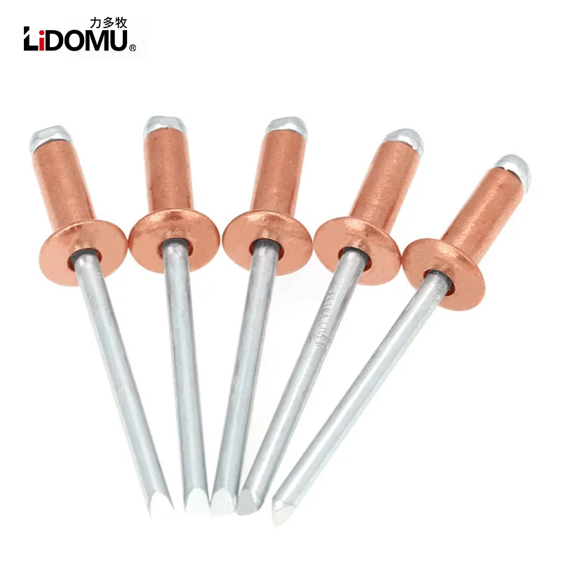 30/50pcs Copper Blind Rivet, Dome Head Open Type Bronze Copper Steel Rivets, Anticorrosive
30/50pcs Copper Blind Rivet, Dome Head Open Type Bronze Copper Steel Rivets, Anticorrosive