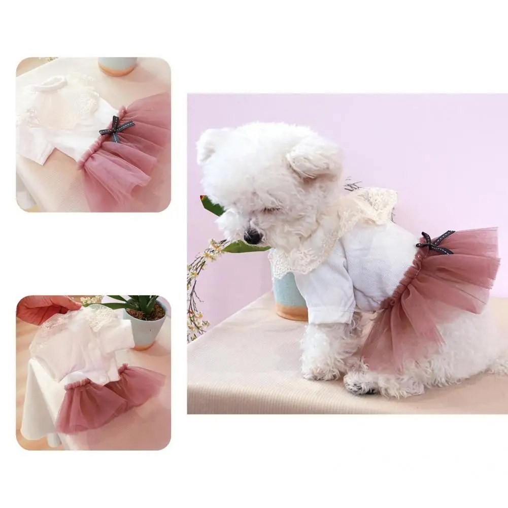 Summer Dog Dress Fashion Puppy Dog Skirt Pet T-shirt Breathable No Pilling Pet Dress
Summer Dog Dress Fashion Puppy Dog Skirt Pet T-shirt Breathable No Pilling Pet Dress