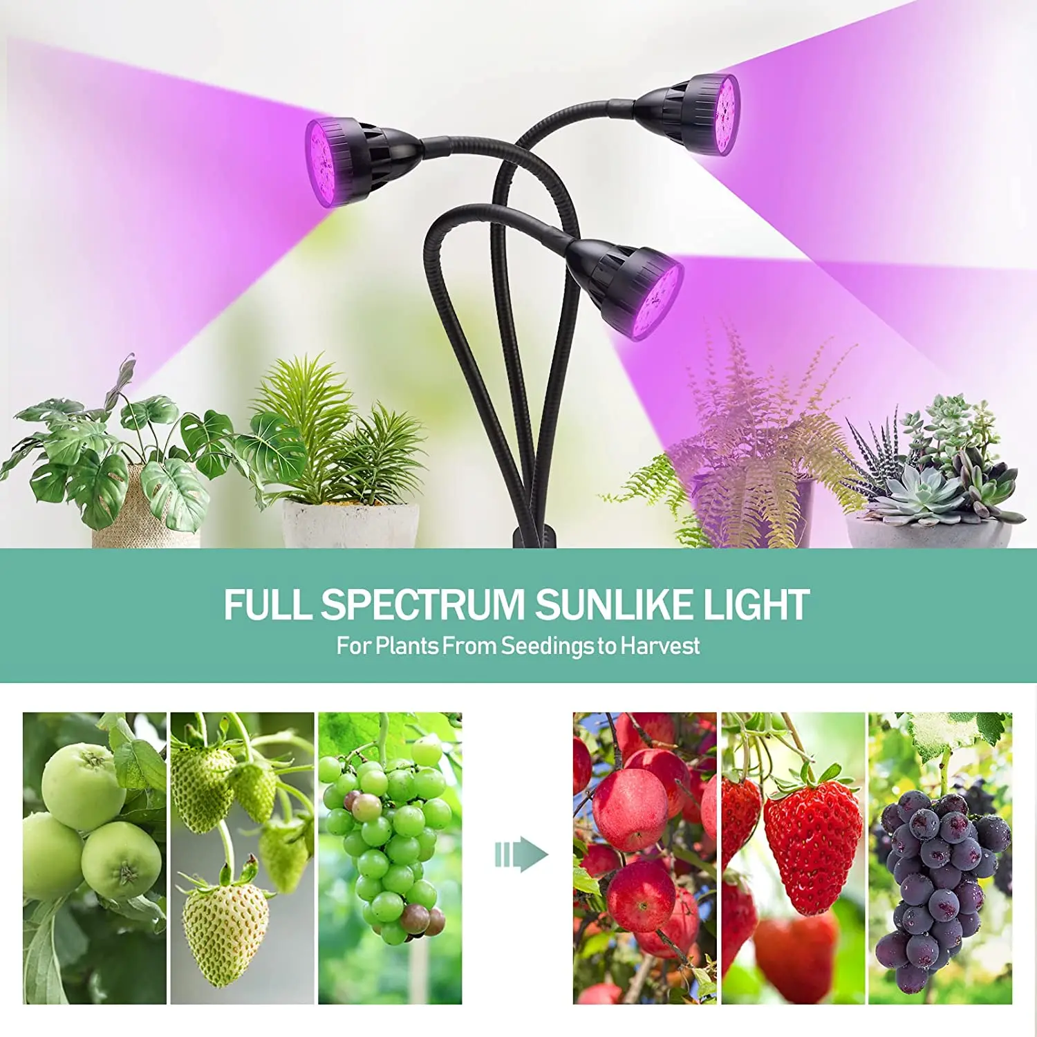 Full Spectrum 45-LED Plant Lamp with 3 Heads for Hibernation 3/9/12H Auto Timer 3 Modes of Brightness Growth Light
Full Spectrum 45-LED Plant Lamp with 3 Heads for Hibernation 3/9/12H Auto Timer 3 Modes of Brightness Growth Light