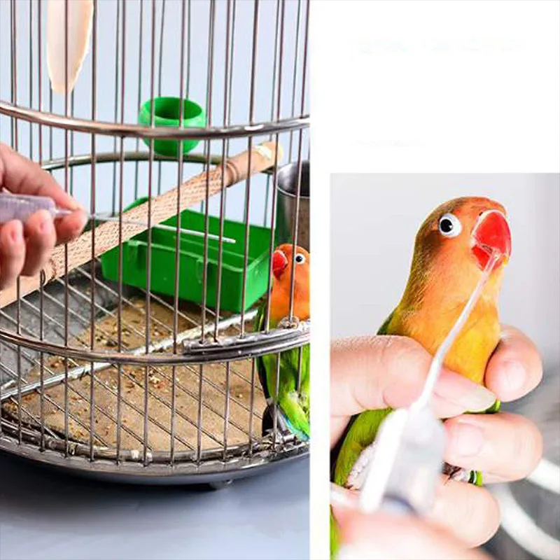 Bird Feeding Needle Syringe Manual Convenient and Fast Feeding Feeding Tube Plastic Material Parrot Feeder Bird Supplies
Bird Feeding Needle Syringe Manual Convenient and Fast Feeding Feeding Tube Plastic Material Parrot Feeder Bird Supplies