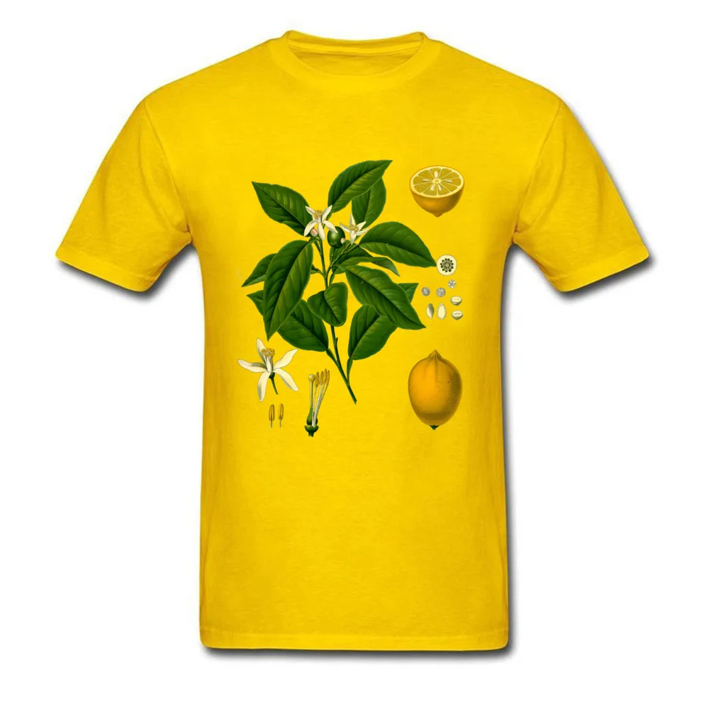 New Plant Pattern Men's T-shirt Customized T-shirt Lemon Plant Top Brand New Printed Clothing Polyester Fabric
New Plant Pattern Men's T-shirt Customized T-shirt Lemon Plant Top Brand New Printed Clothing Polyester Fabric