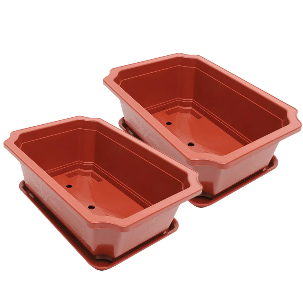 2 Sets Flowerpot Succulent Plants Pots Plastic Flowers The Office Decor Planter Large Bonsai
2 Sets Flowerpot Succulent Plants Pots Plastic Flowers The Office Decor Planter Large Bonsai