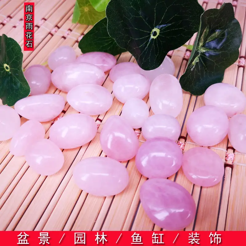 500g Rain flower stone natural pebbles gardening pink small stone succulent pavement flower potted fish tank decoration
500g Rain flower stone natural pebbles gardening pink small stone succulent pavement flower potted fish tank decoration