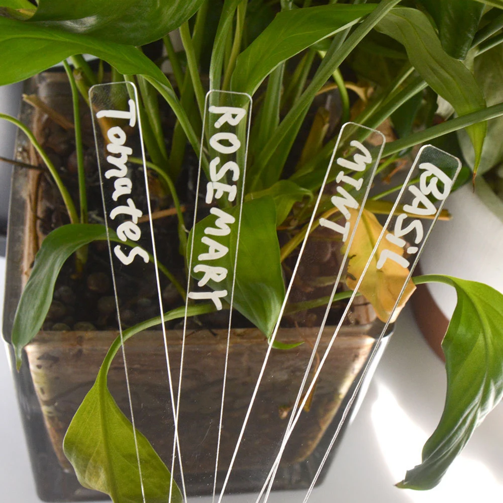 Label Signage Décor Eco-friendly Flower Potted Garden Gardening Herb Signs Plant Markers Tag T-Type Transparent
Label Signage Décor Eco-friendly Flower Potted Garden Gardening Herb Signs Plant Markers Tag T-Type Transparent