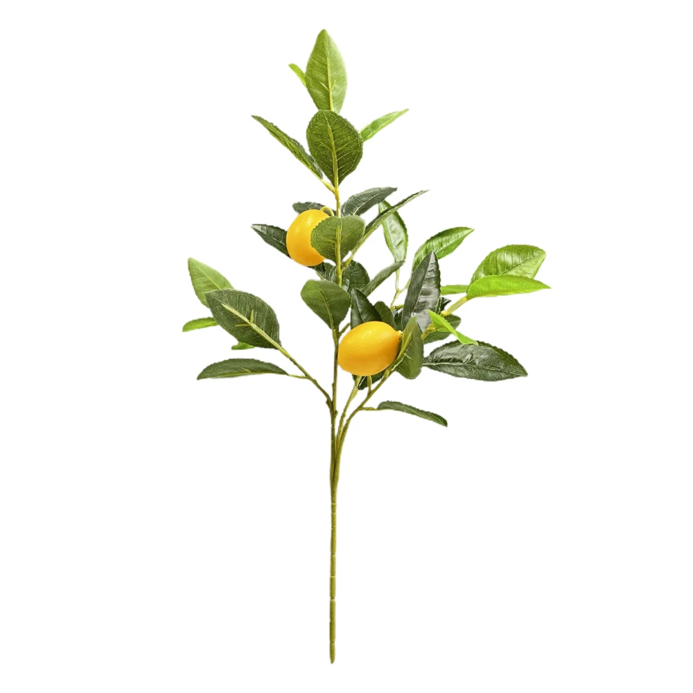 Imitation Plants Fake LemonTree Decor Simulation Flower Arrangement Plastic Artificial Bouquet DIY 1PC Table 50cm Branch
Imitation Plants Fake LemonTree Decor Simulation Flower Arrangement Plastic Artificial Bouquet DIY 1PC Table 50cm Branch