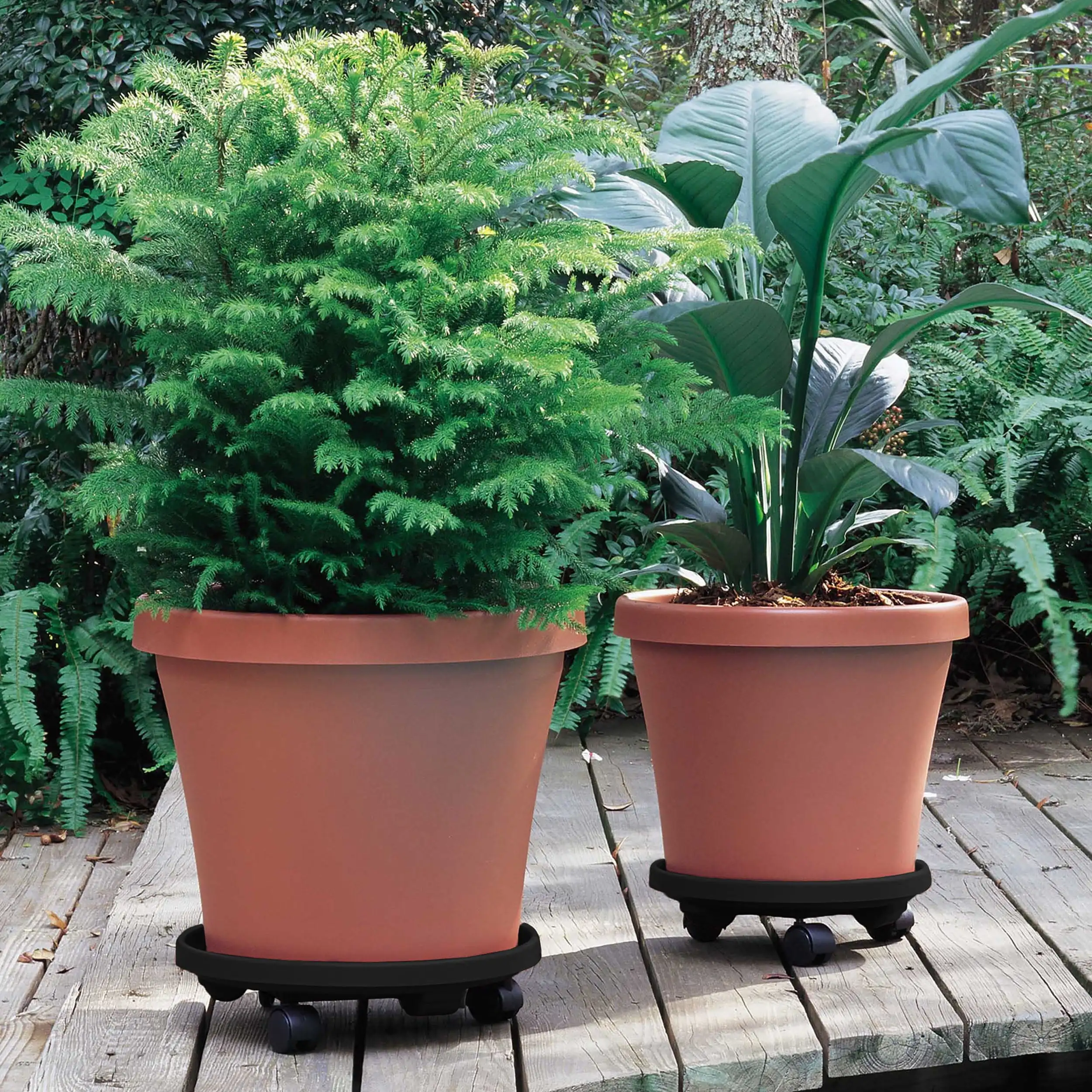 14-in Round Planter Caddy with Wheels - Black - 100 Lb Capacity Plant Rack Flower Pot Stand
14-in Round Planter Caddy with Wheels - Black - 100 Lb Capacity Plant Rack Flower Pot Stand