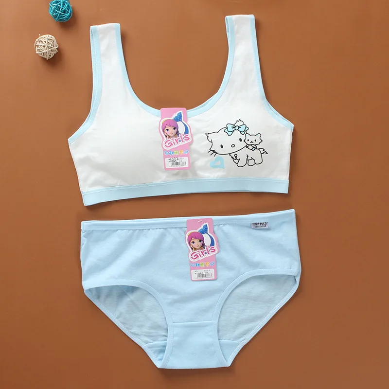 Girls Bra and Panty Sets 14 Teenage Girls Cute Cotton Training Bra Panties Kids Sports Bra Panties Teen Underwear Puberty Cute10
Girls Bra and Panty Sets 14 Teenage Girls Cute Cotton Training Bra Panties Kids Sports Bra Panties Teen Underwear Puberty Cute10