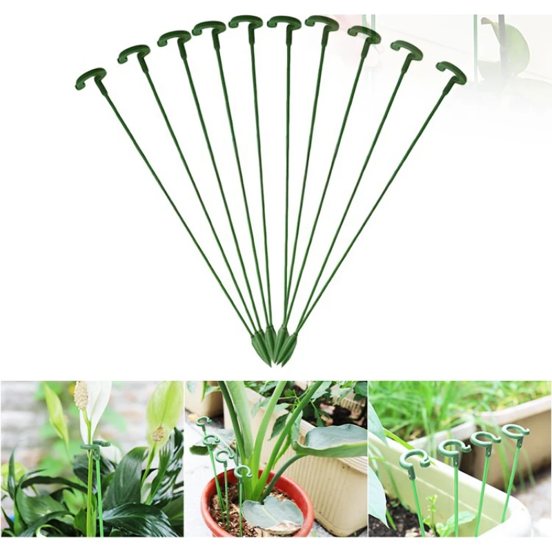 5pcs Succulent Phalaenopsis Special Flower Support Plant Potted Flower Modeling Support Rod Fixed Anti-lodging Leaf Guard Frame
5pcs Succulent Phalaenopsis Special Flower Support Plant Potted Flower Modeling Support Rod Fixed Anti-lodging Leaf Guard Frame