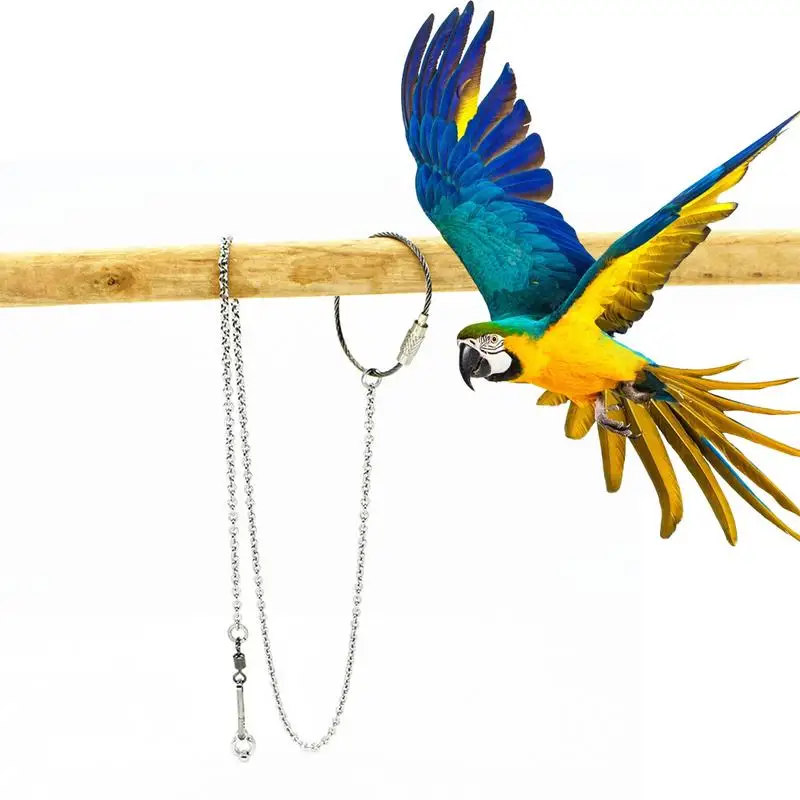 

Parrot Foot Ring Anklet Stainless Steel Bird Chain Tiger Skin Starling Peony Cockatiel Stand Open Foot Ring Buckle New