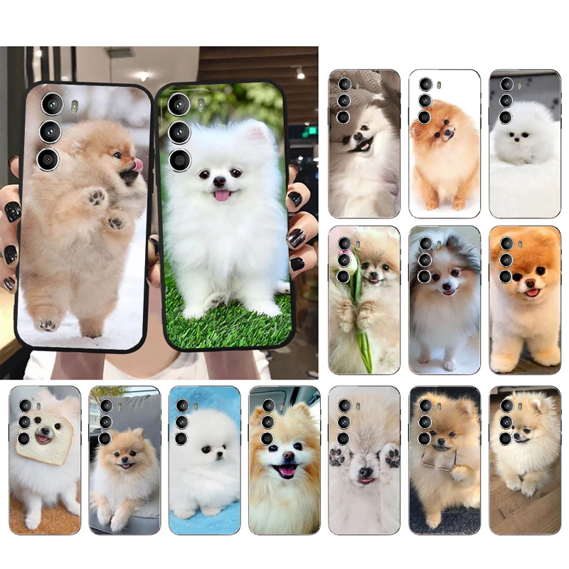 Phone Case for Motorola G72 G13 G32 G53 G51 G71 G31 G41 G22 G60 G52 G200 GStylus G30 G10 G20 G50 G Pure Pomeranian Dog Case
Phone Case for Motorola G72 G13 G32 G53 G51 G71 G31 G41 G22 G60 G52 G200 GStylus G30 G10 G20 G50 G Pure Pomeranian Dog Case