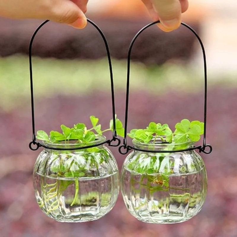 Transparent Pumpkin Flowerpots Green Plant Glass Hydroponics Flower Vases for Home Decoration Hanging Basket Succulents Pots
Transparent Pumpkin Flowerpots Green Plant Glass Hydroponics Flower Vases for Home Decoration Hanging Basket Succulents Pots