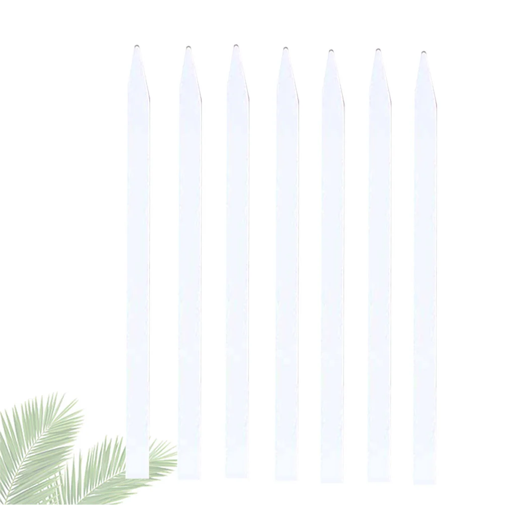 Stripstest Paper Tester Essential Oil Fragrance Strip Scent Aromatherapy Disposable Blottersragrance White Smell Inkblotting
Stripstest Paper Tester Essential Oil Fragrance Strip Scent Aromatherapy Disposable Blottersragrance White Smell Inkblotting