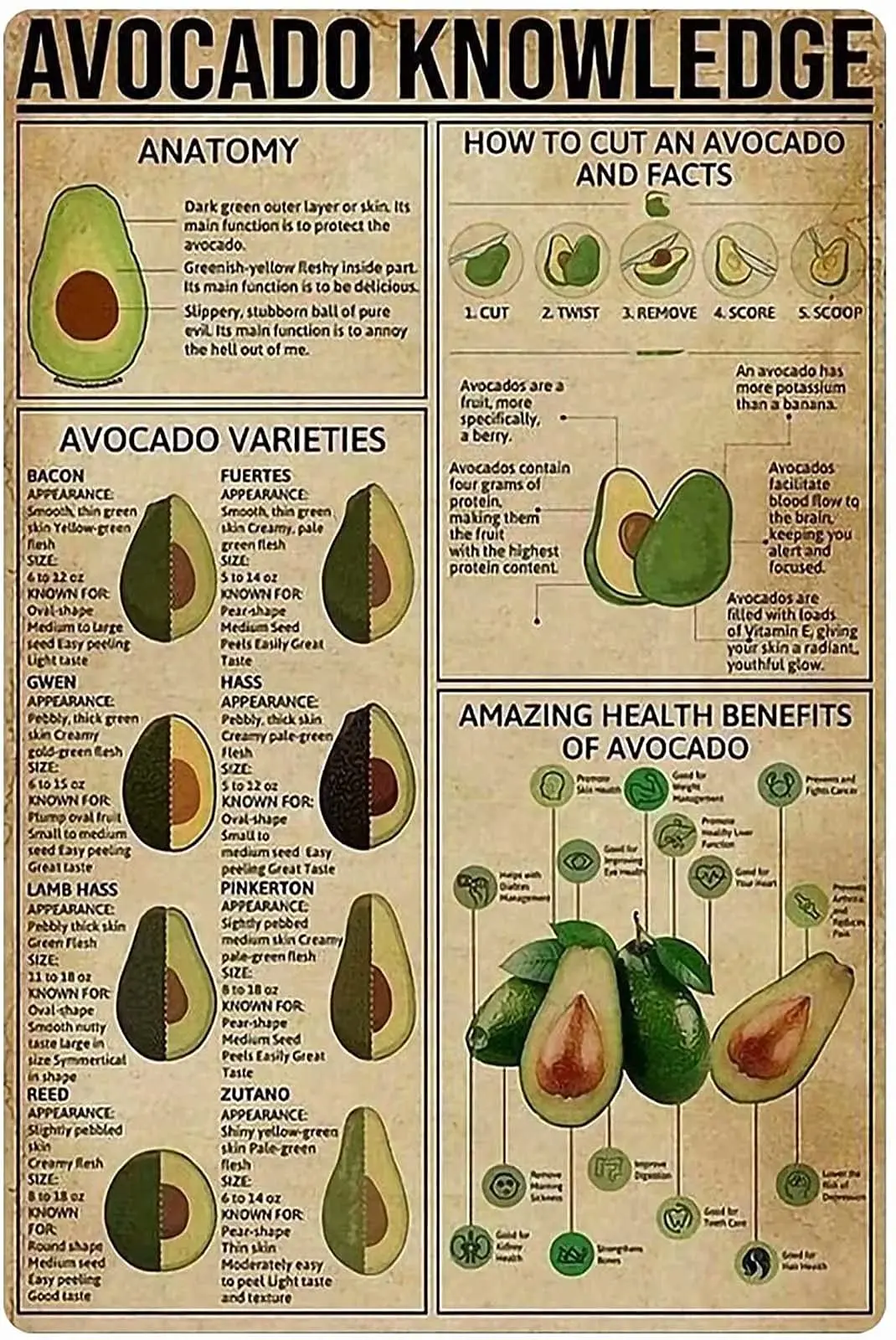 Tin Sign Vintage -Avocdo Knowledge- Suitable for The Room Living Room Bar Garage Club Wall Decoration Metal Sign 12x16 Inch
Tin Sign Vintage -Avocdo Knowledge- Suitable for The Room Living Room Bar Garage Club Wall Decoration Metal Sign 12x16 Inch