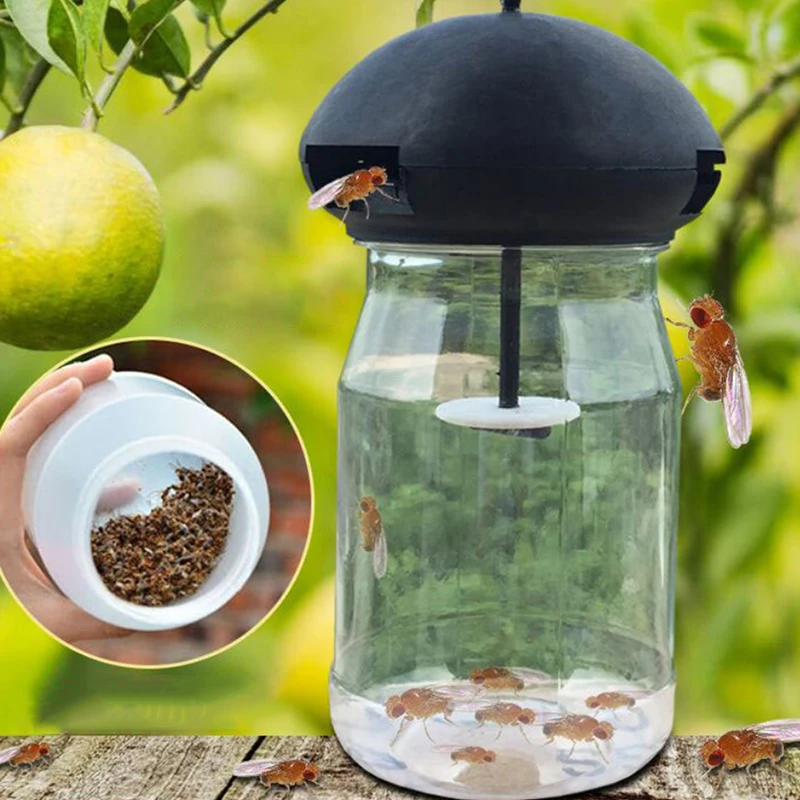 Fruit Fly Trap Killer Plastic Catcher Insect Control Farm Orchard Fruit Fly Trap Cap Can Be Matched With Water Bottle
Fruit Fly Trap Killer Plastic Catcher Insect Control Farm Orchard Fruit Fly Trap Cap Can Be Matched With Water Bottle
