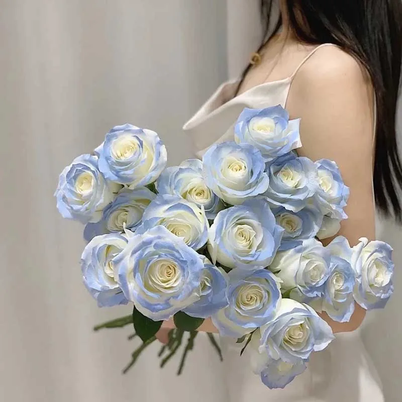 Simulation Touch Fake Rose Flowers Nordic Dining Table Home Decor Blue Color Artificial Roses Wedding Decoration
Simulation Touch Fake Rose Flowers Nordic Dining Table Home Decor Blue Color Artificial Roses Wedding Decoration