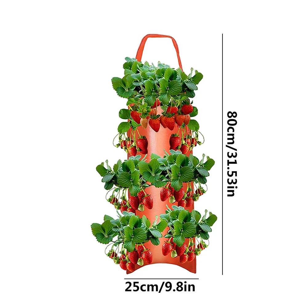 8 Holes Fabric Wall Hanging Grow Bag Strawberry Herb Nursery Pot Garden Flower Vegetable Growing Container Balcony Decoration
8 Holes Fabric Wall Hanging Grow Bag Strawberry Herb Nursery Pot Garden Flower Vegetable Growing Container Balcony Decoration