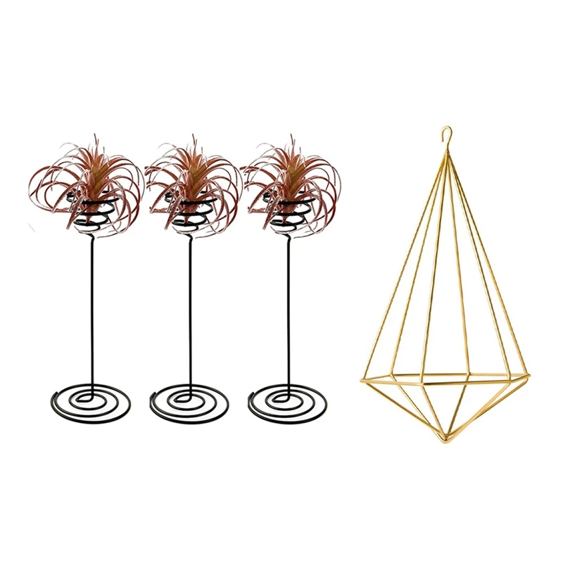4X Air Plant Stand Holder Air Plant Base Container Tabletop Planter Tillandsia Planter Racks
4X Air Plant Stand Holder Air Plant Base Container Tabletop Planter Tillandsia Planter Racks