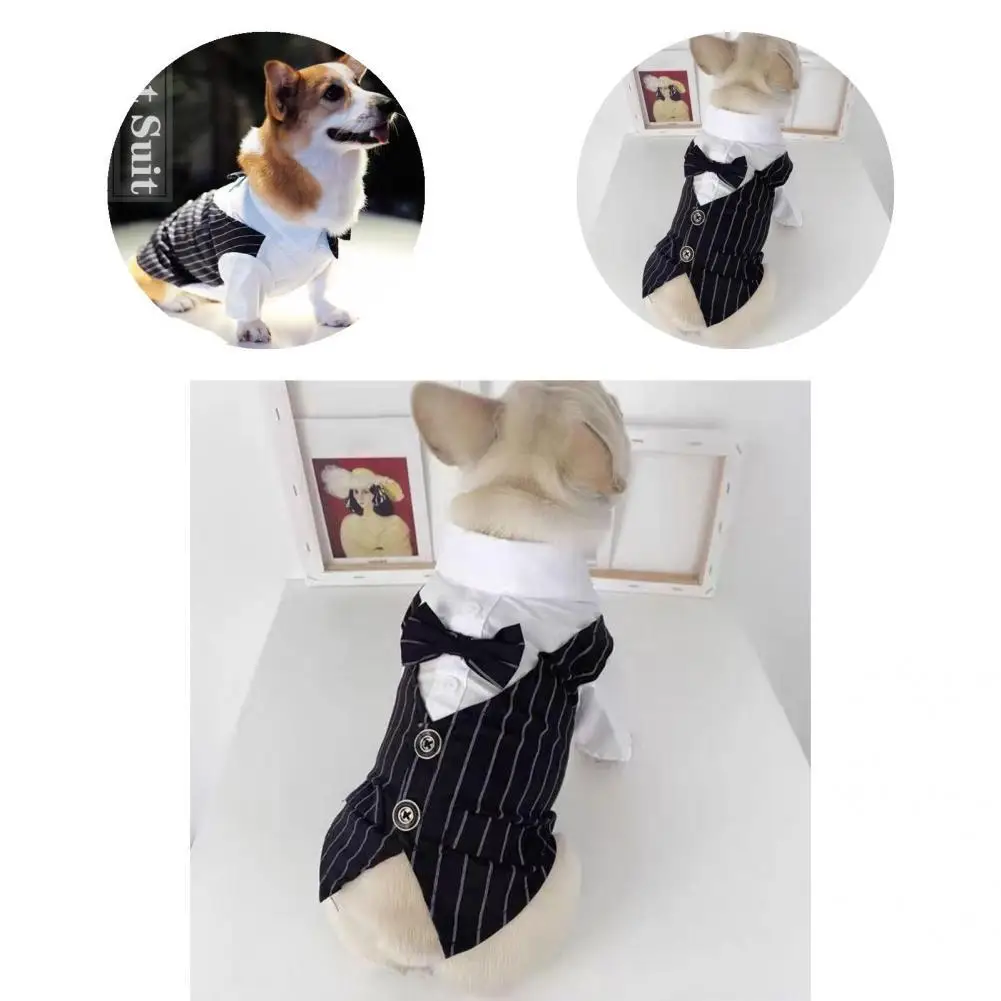 Dog Shirt Stylish Lovely No Pilling Gentleman Dog Clothes Wedding Suit Puppy Costume Pet Formal Shirt Pet Suit
Dog Shirt Stylish Lovely No Pilling Gentleman Dog Clothes Wedding Suit Puppy Costume Pet Formal Shirt Pet Suit