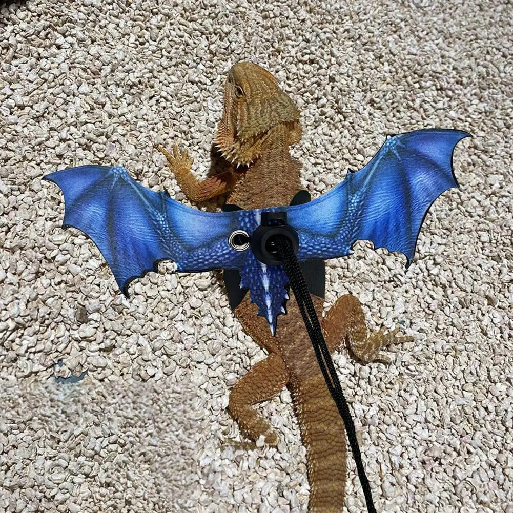 Durable Reptile Leash Compact Pet Traction Rope Anti-Bite Lizard Bearded Dragon Harness with Wings Dress Up
Durable Reptile Leash Compact Pet Traction Rope Anti-Bite Lizard Bearded Dragon Harness with Wings Dress Up