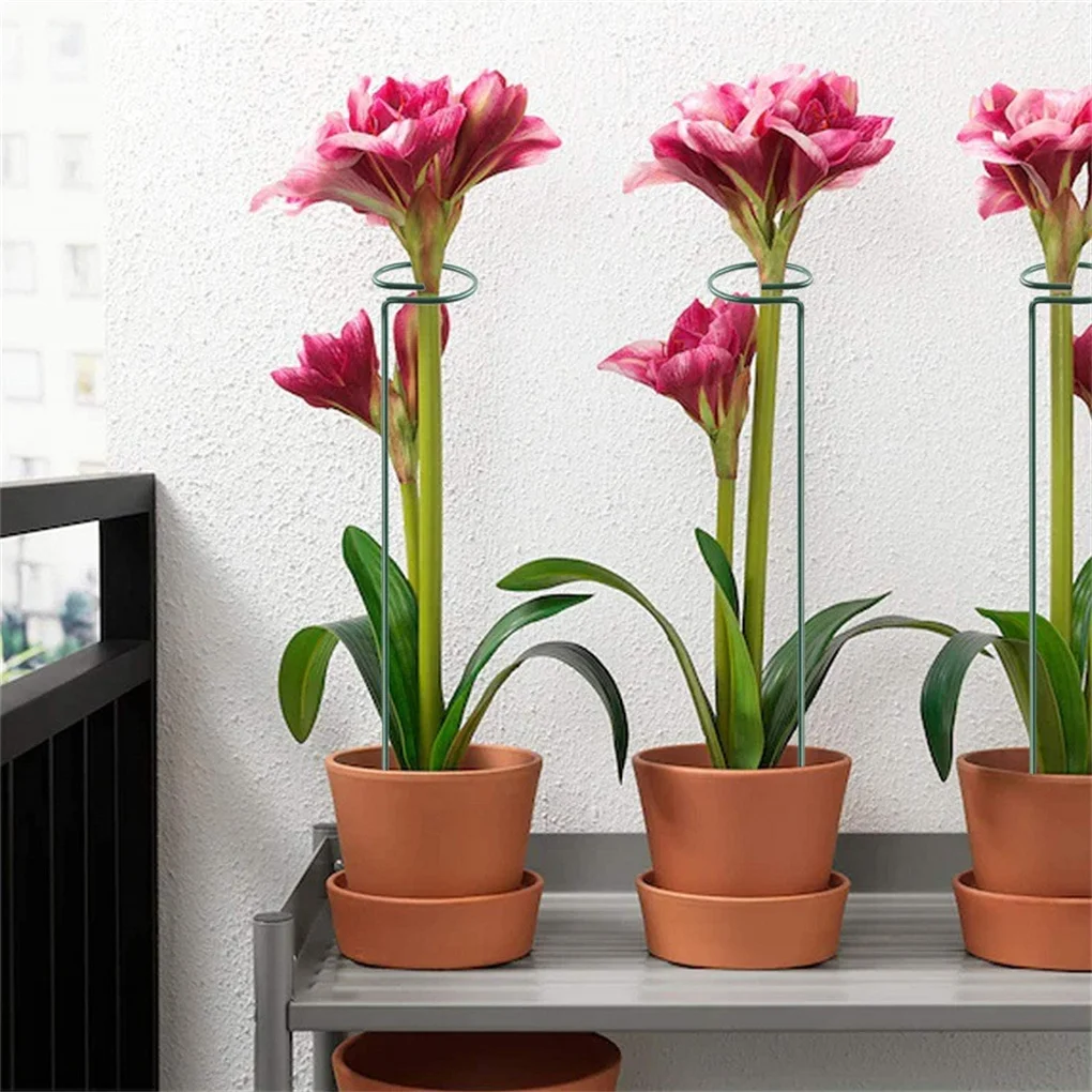 NEW 5 Pc Climbing Vine Rack Plant Potted Support Frame Plastic Coated Sunflower Vegetables Stem Training Guide Racks Household
NEW 5 Pc Climbing Vine Rack Plant Potted Support Frame Plastic Coated Sunflower Vegetables Stem Training Guide Racks Household