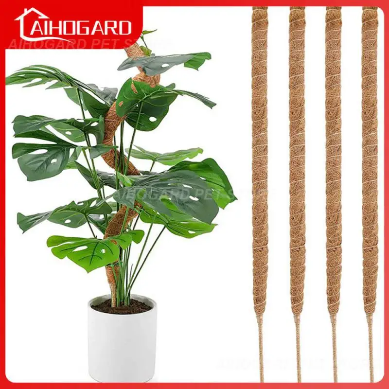 Natural Fiber Climbing Frame Layer Selection Shaped Green Apple Gardening Silk Clear The Use Of Coconut Fiber Plant Climbing
Natural Fiber Climbing Frame Layer Selection Shaped Green Apple Gardening Silk Clear The Use Of Coconut Fiber Plant Climbing