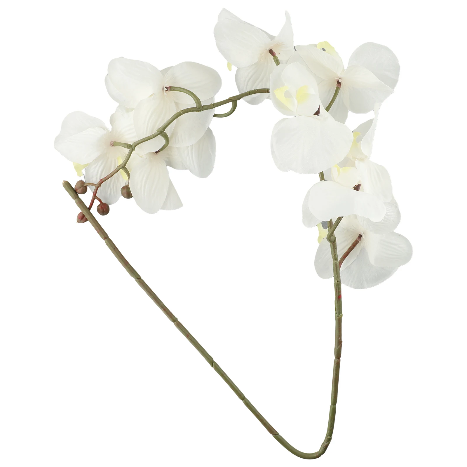 Home/wedding/store/party Flower Artificial Flower Beauty Bravery Butterfly Orchid Wedding Decoration Accessories
Home/wedding/store/party Flower Artificial Flower Beauty Bravery Butterfly Orchid Wedding Decoration Accessories