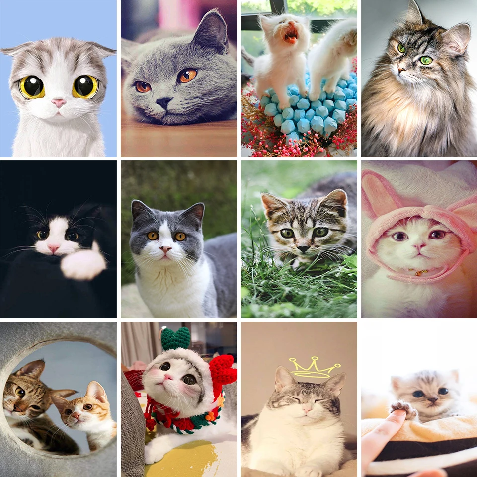 Cat 5D DIY Diamond Painting Rhinestone Animal Picture Full Diamond Embroidered Mosaic Animal Art Painting Home Decoration Gift
Cat 5D DIY Diamond Painting Rhinestone Animal Picture Full Diamond Embroidered Mosaic Animal Art Painting Home Decoration Gift