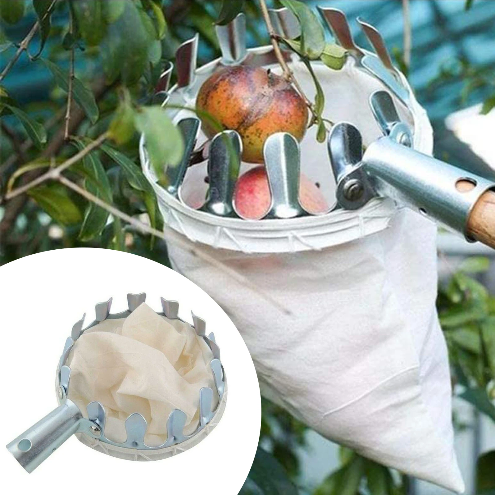 Metal Fruit Picker Multi-function Personality Outdoor Apple Orange Peach Pear Practical Garden Picking Tool High Tree Supplies
Metal Fruit Picker Multi-function Personality Outdoor Apple Orange Peach Pear Practical Garden Picking Tool High Tree Supplies