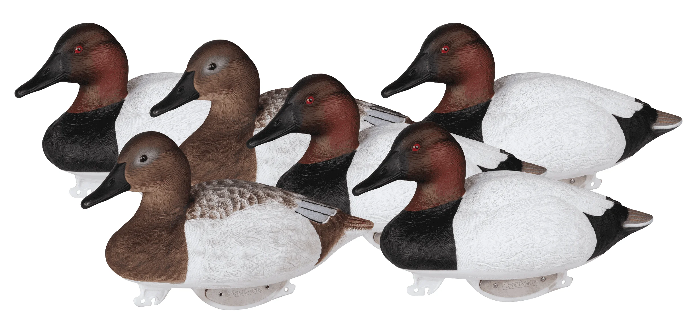 Flambeau Outdoors 1325GSD Gunning Series Foam-Filled Canvasback Decoys, Classic Floaters - 6-Pack
Flambeau Outdoors 1325GSD Gunning Series Foam-Filled Canvasback Decoys, Classic Floaters - 6-Pack