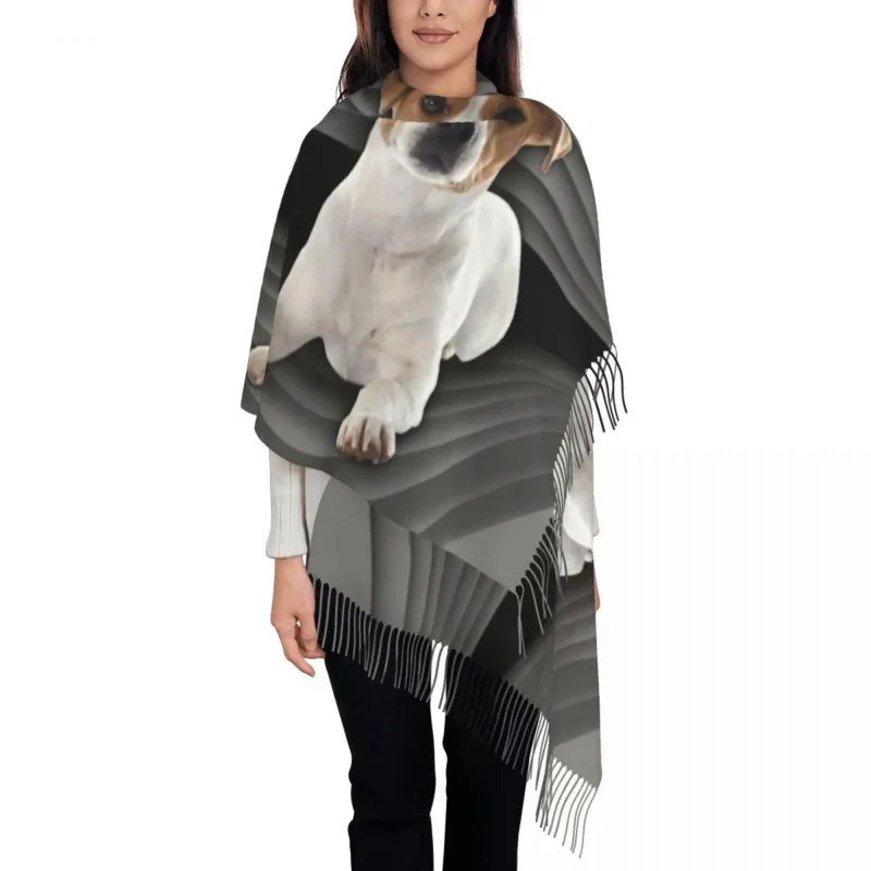 Cute Jack Russell Terrier Scarf Wrap for Women Long Winter Warm Tassel Shawl Unisex Pet Dog Scarves
Cute Jack Russell Terrier Scarf Wrap for Women Long Winter Warm Tassel Shawl Unisex Pet Dog Scarves