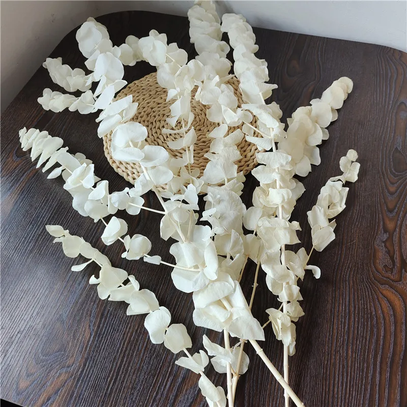 60g/40-45cmNatural Preserved Eucalyptus Leaves Bouquet,bleached eucalyptus Wedding home Valentine's Day bouquet flower material
60g/40-45cmNatural Preserved Eucalyptus Leaves Bouquet,bleached eucalyptus Wedding home Valentine's Day bouquet flower material