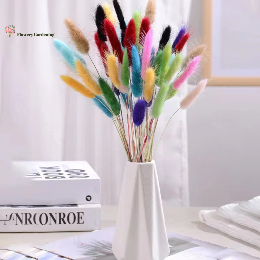 Natural Rabbit Tail Grass Fluffy Dried Flowers For Boho Home Decor Colorful Mixed Bouquet Table Decor Vase Garden Decoration
Natural Rabbit Tail Grass Fluffy Dried Flowers For Boho Home Decor Colorful Mixed Bouquet Table Decor Vase Garden Decoration
