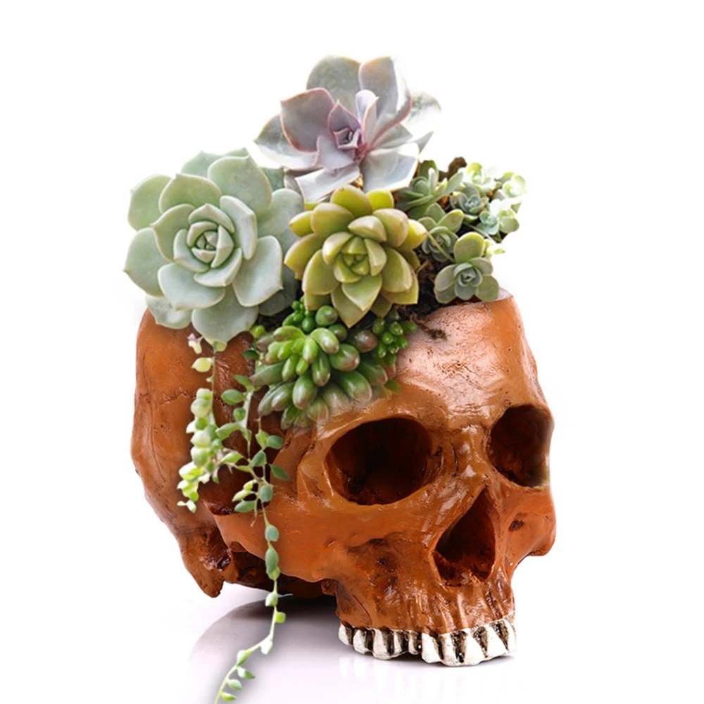 Полимерный горшок в форме скелета для суккулентов, горшок для цветов, микро-ландшафт, фотография дома, реквизит B99 
Полимерный горшок в форме скелета для суккулентов, горшок для цветов, микро-ландшафт, фотография дома, реквизит B99