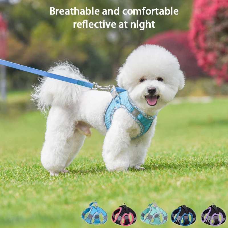 Dog Cat Harness Vest Outdoor Walking Lead Leash Cat Chest Strap Reflective Breathable Adjustable Puppy Harness Vest Dog
Dog Cat Harness Vest Outdoor Walking Lead Leash Cat Chest Strap Reflective Breathable Adjustable Puppy Harness Vest Dog