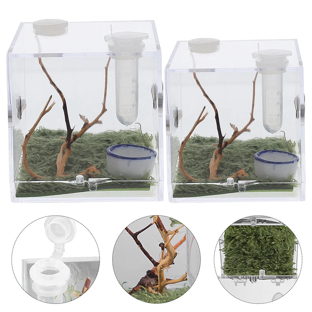2 Pcs Pet Fence Jumping Spider Breeding Box Reptile Acrylic Feeding Case Insect Container Glass Habitat Cage Transparent
2 Pcs Pet Fence Jumping Spider Breeding Box Reptile Acrylic Feeding Case Insect Container Glass Habitat Cage Transparent