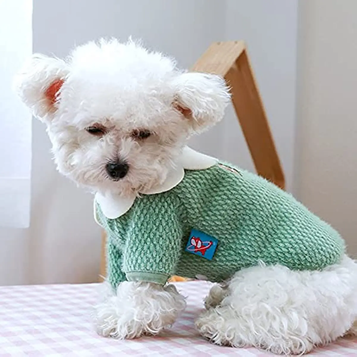 Dog Sweater for Small Dogs Puppy Cat Clothes Warm Winter Fleece Dog Sweater Flower Doggie Chihuahuas Sweater Pet Sweater Outfit
Dog Sweater for Small Dogs Puppy Cat Clothes Warm Winter Fleece Dog Sweater Flower Doggie Chihuahuas Sweater Pet Sweater Outfit