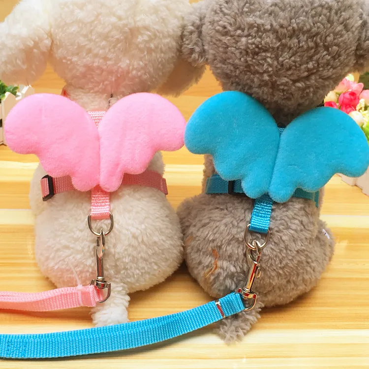 Dog Leash Dog Leash Pet Chest Strap Teddy Small and Medium-sized Dog Angel Chest Strap Cat Leash 
Dog Leash Dog Leash Pet Chest Strap Teddy Small and Medium-sized Dog Angel Chest Strap Cat Leash