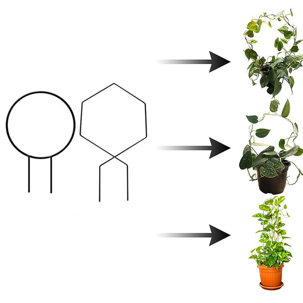 Vine Climbing Rack Flower Plant Support Frame Round Hexagonal Shape Supporter Fruit Vegetable Growing Holder Stand Garden Tool
Vine Climbing Rack Flower Plant Support Frame Round Hexagonal Shape Supporter Fruit Vegetable Growing Holder Stand Garden Tool