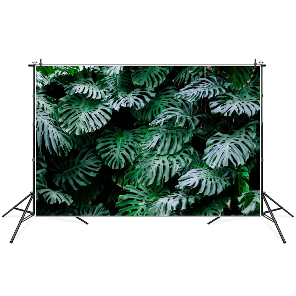 Green Monstera Leaves Wall Tropical Party Photography Backgrounds Custom Summer Holiday Home Decoration Photo Studio Backdrops
Green Monstera Leaves Wall Tropical Party Photography Backgrounds Custom Summer Holiday Home Decoration Photo Studio Backdrops